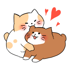 chewy and soft cat
