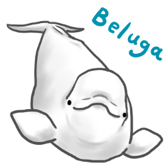 Beluga Sticker