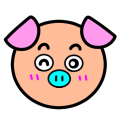 Ehime pig with big face