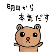The Serious Bear