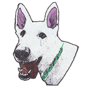 Alba of a White Shepherd and Friends (J)