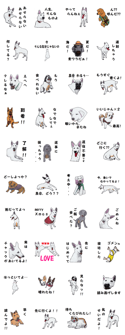 Alba of a White Shepherd and Friends (J)