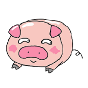 Face of the pig