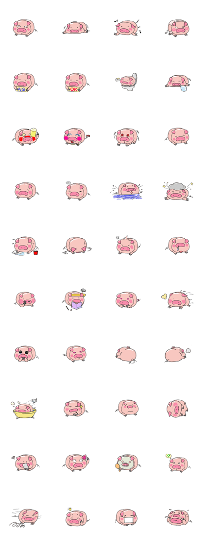 Face of the pig