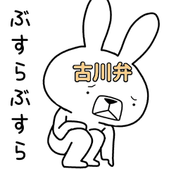 Dialect rabbit [furukawa4]