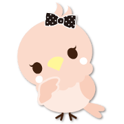 Cute parakeet