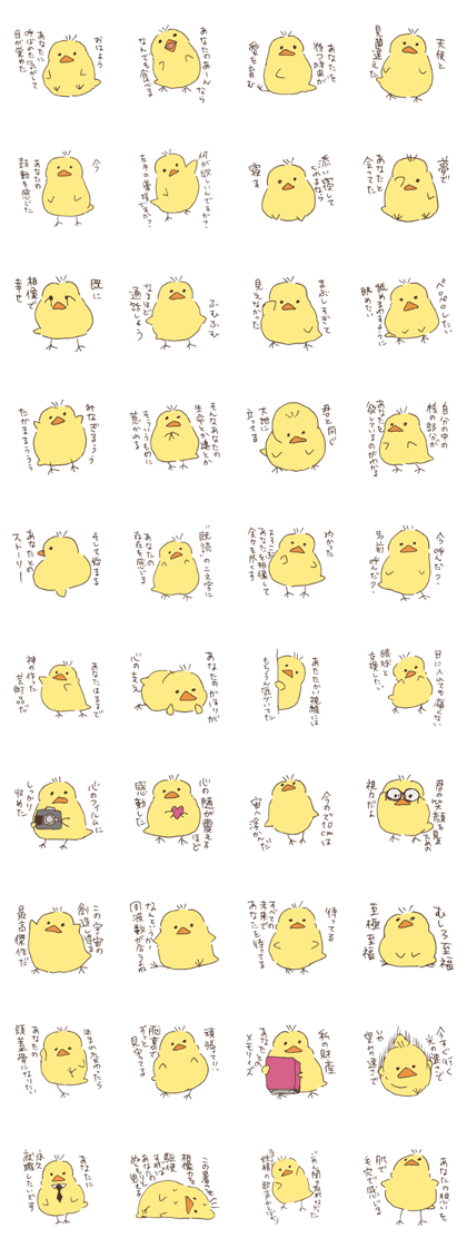 Loving little chick