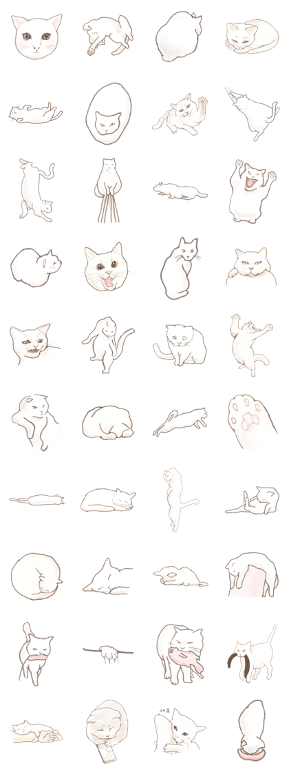 Cat Sketch