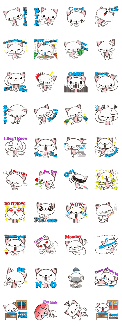 Shiro Neko the Cute Little White Cat