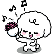Afro puppy