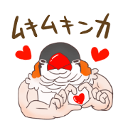Muscle zebra finch And Friends