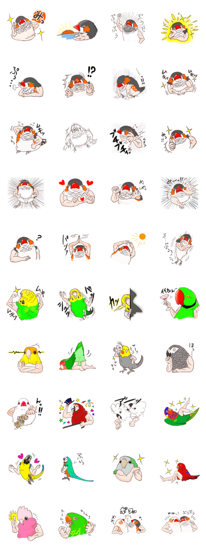 Muscle zebra finch And Friends