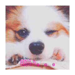 rei_20191221232546