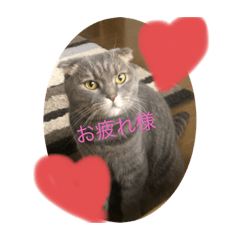 ASAKO_20191221230812