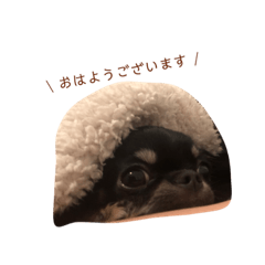 wasabi_20191222002726