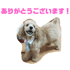 yukina_20191222000451