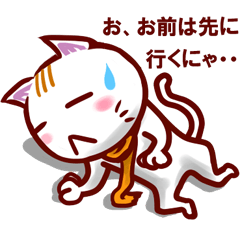 japanese manga cat