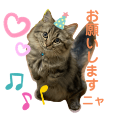 Yukari_20191222035112