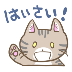 沖縄弁なイリオモテヤマネコさん Line スタンプ Line Store 沖縄弁なイリオモテヤマネコさん Line スタンプ Line Store