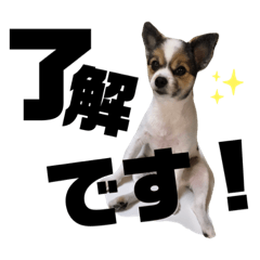 sumire_20191222030232