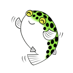 Green spotted puffer "TAMA" and friends