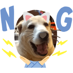 ？？？貼圖