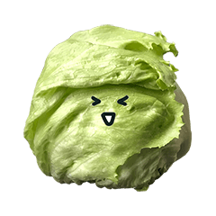 reatasu lettuce 1