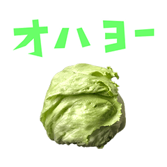 reatasu lettuce 6