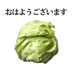 reatasu lettuce 4