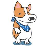 easygoing corgi GENTA