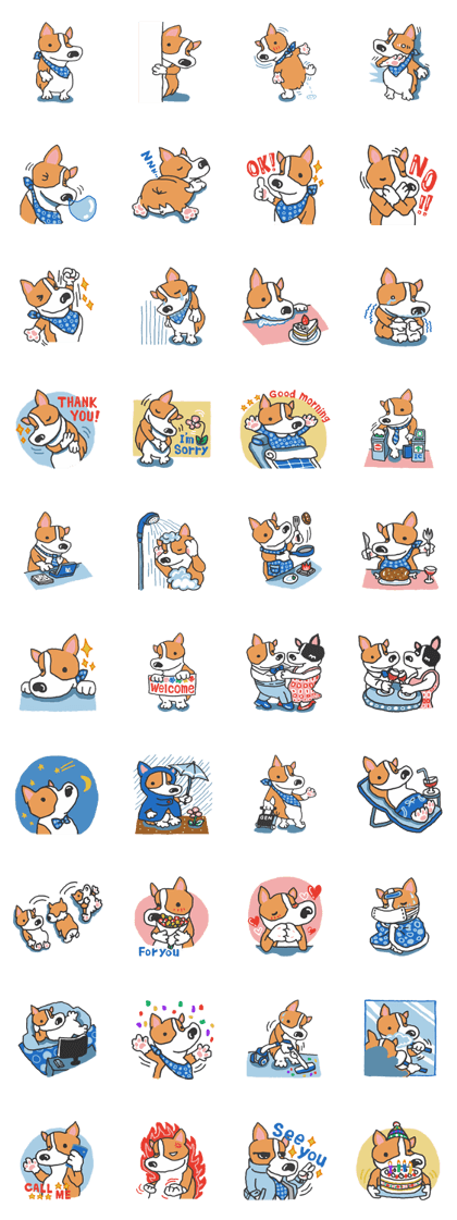 easygoing corgi GENTA