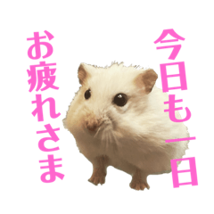 A cute hamster stamp