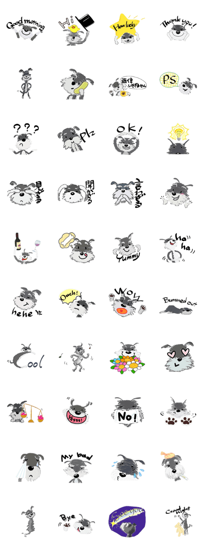 Lovely Miniature Schnauzer!