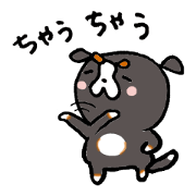 Kansai Local dog's day