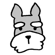 Miniature schnauzer Arao