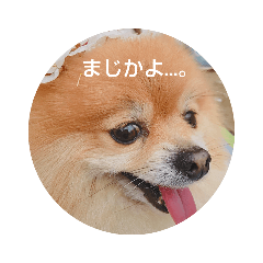 richard_20191222114305