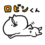 A little fat Chihuahua Robin