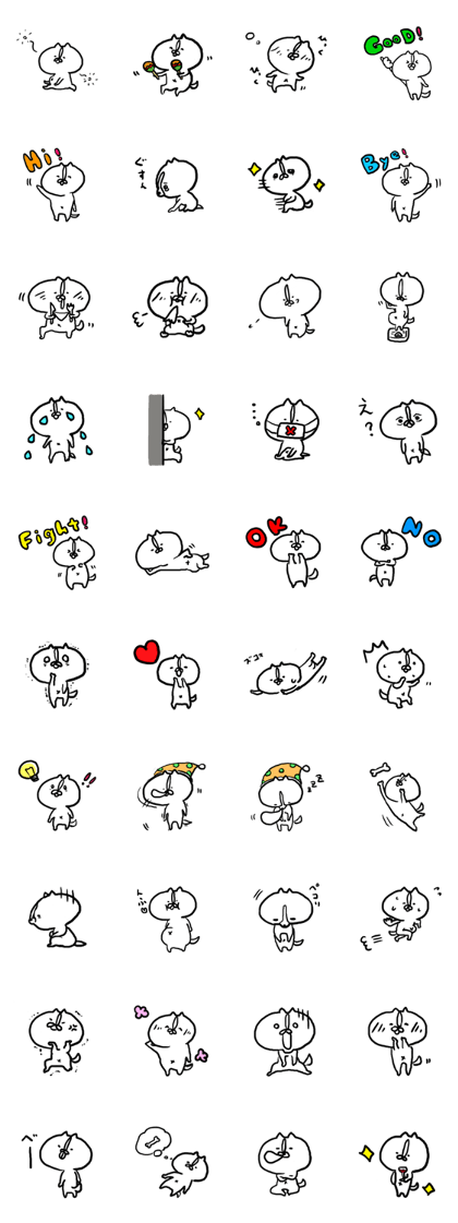 A little fat Chihuahua Robin