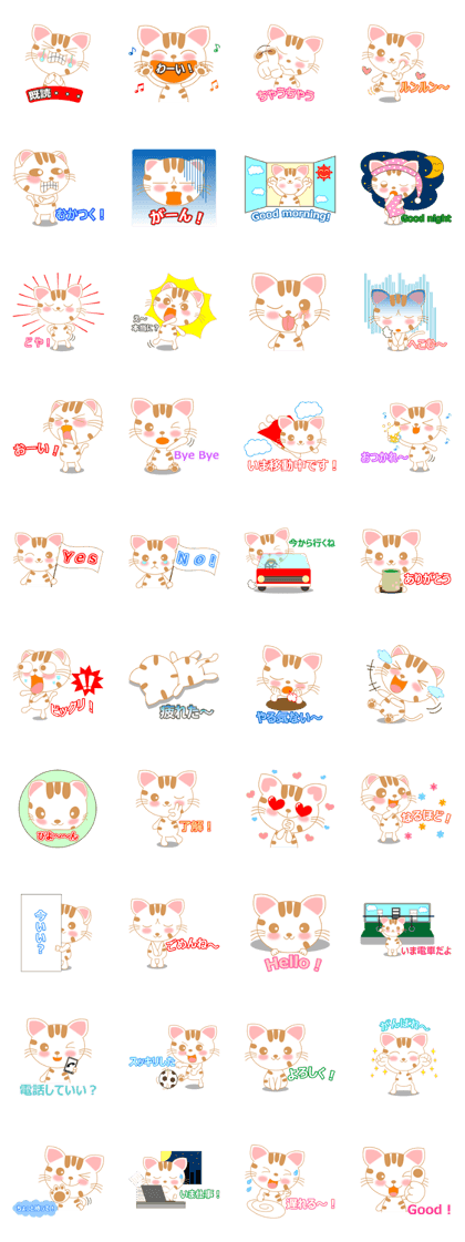 The Everyday Life of a Funny Cat