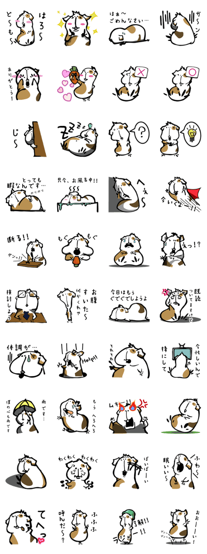 Stickers of a cute Guinea pig!!