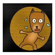 my sullen Japanese Shiba inu