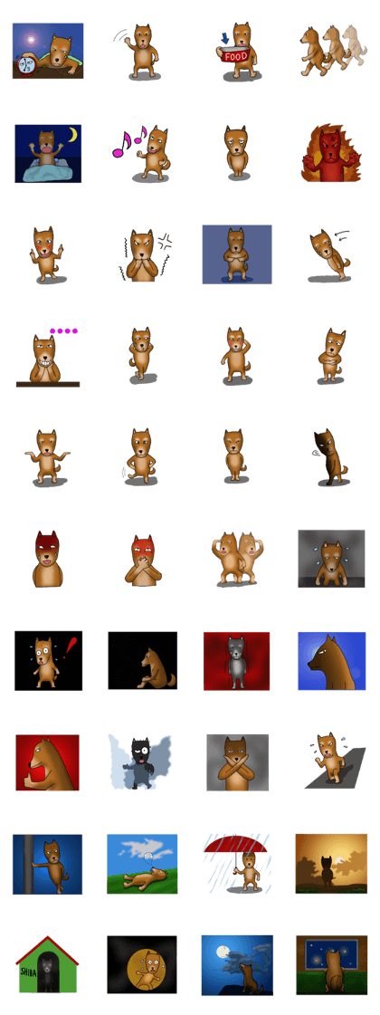 my sullen Japanese Shiba inu