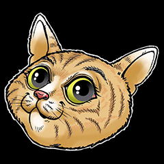 Emoji kucing ( 1 )