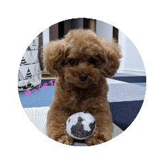 Kurumi_20191222131250