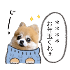 New Year! Pomeranian Dog Photo Sticker