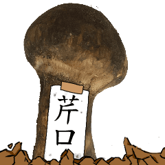 松茸研究家芹口さんのマツタケ