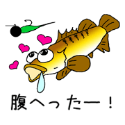 Let's play with the fish