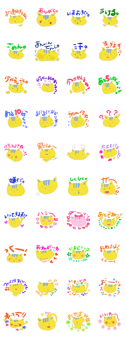 Mr. tiger cat Mr. tiger cat