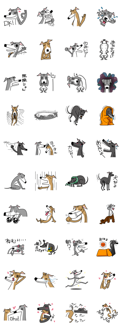 Life of the Italian greyhound Vol.2