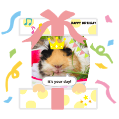 Minnie and Oreo ( version 2 )